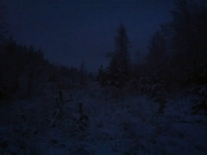 Early morning